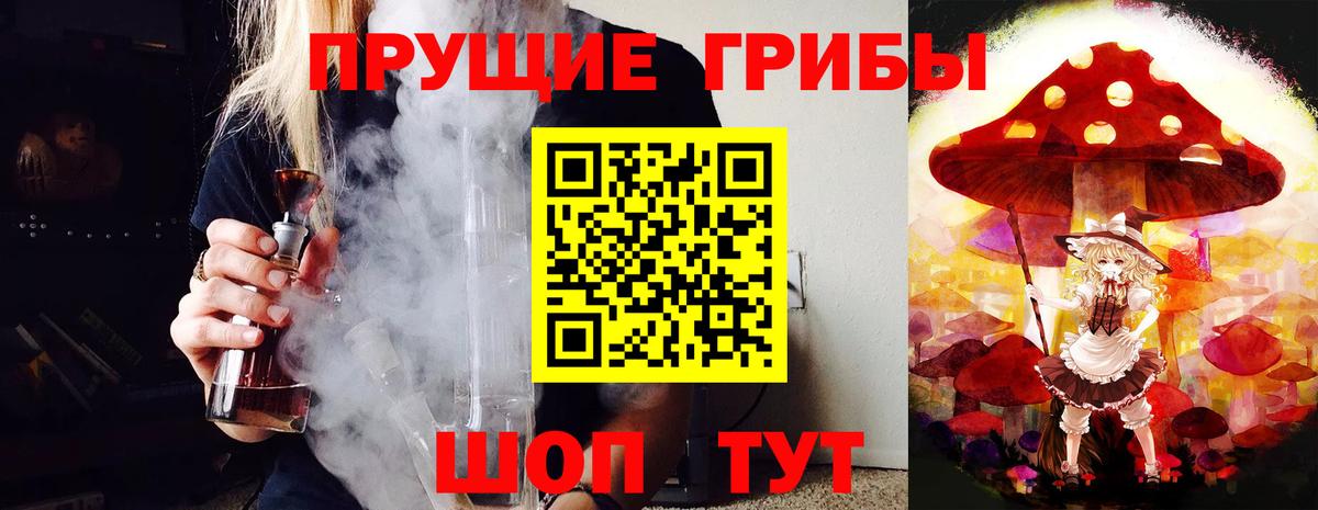 Сосновоборск  Псилоцибиновые грибы прущие грибы  Вход с VPN 